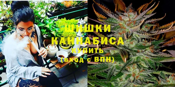 МДПВ Абаза