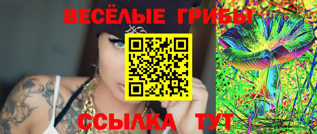Псилоцибиновые грибы MAGIC MUSHROOMS Ярославль