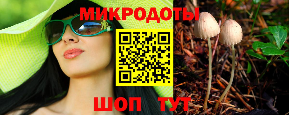 Ярославль  Галлюциногенные грибы Psilocybe  Вход с VPN 